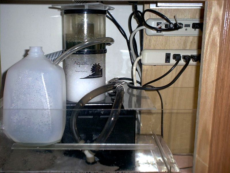 Empty jug catches overflow from skimmer as needed.