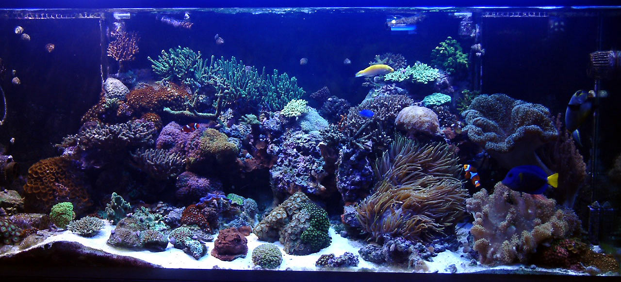 fts_032507_1280x582.jpg