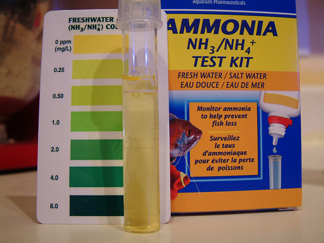 ammonia_0mins.jpg
