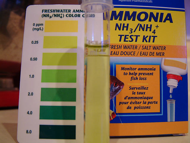 ammonia_5mins.jpg