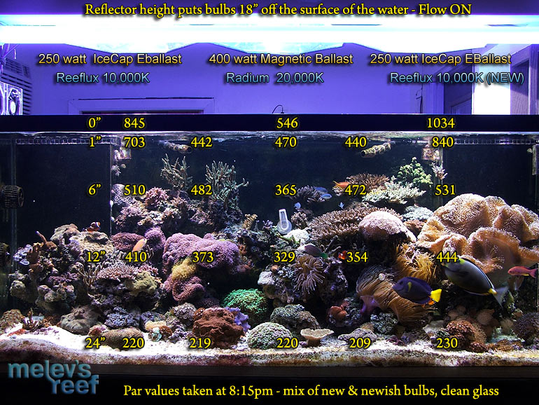 PAR Measuring Lighting with a Meter | Melev's Reef