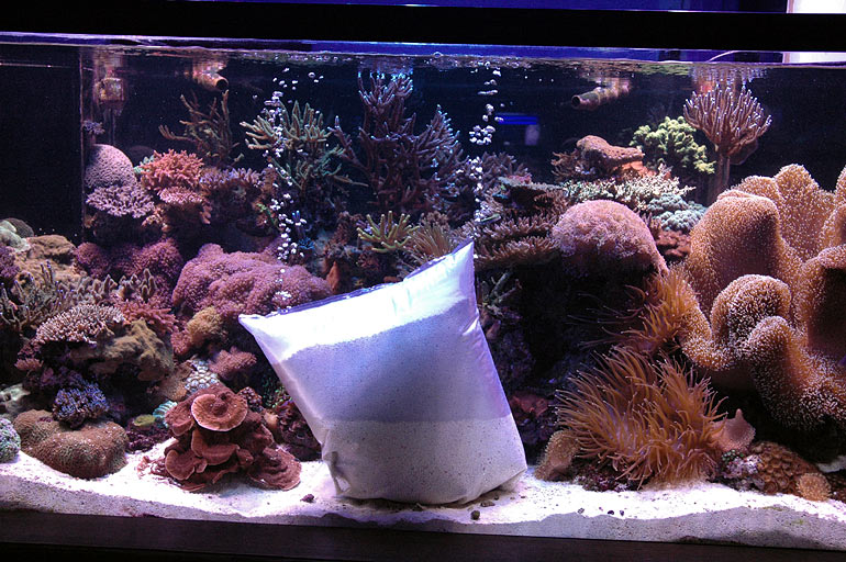 Reef Addicts How to add sand to an existing reef tank