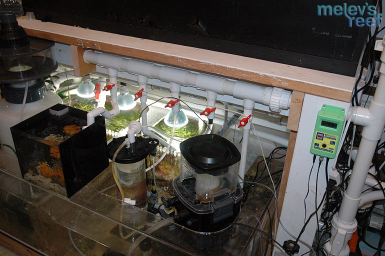 new manifold - Let's hear about your tank!