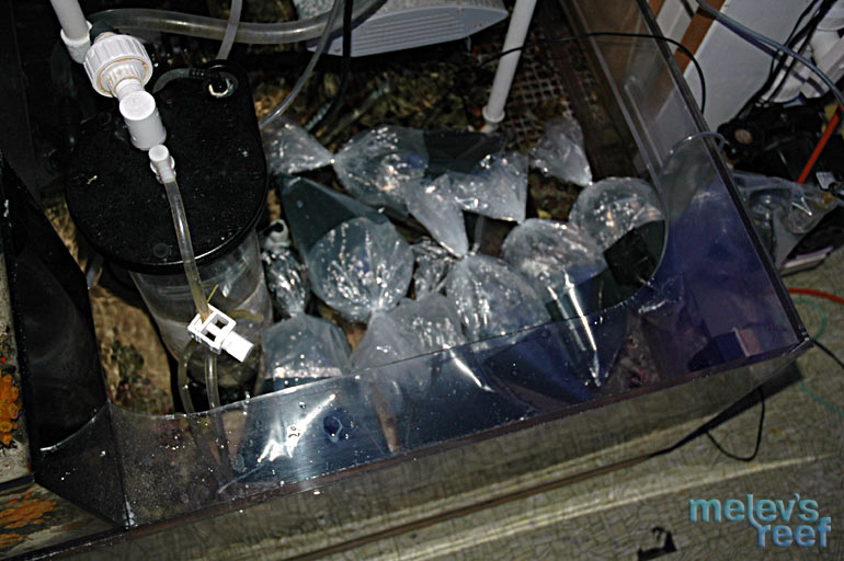 floating_bags.jpg