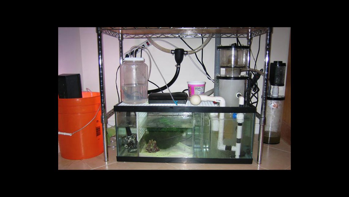 20 gallon hotsell sump kit