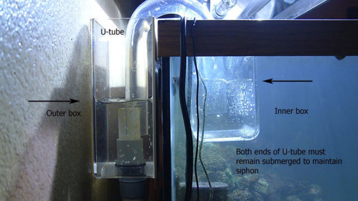 Aquarium 2024 overflow box