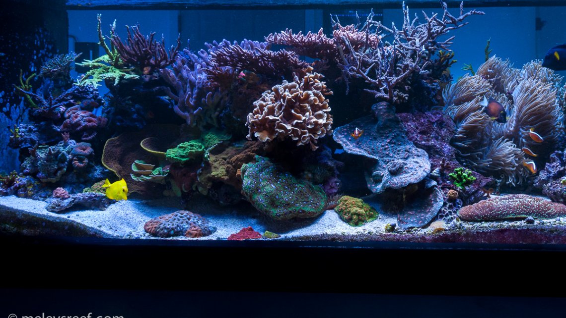 fts-60919-hdr