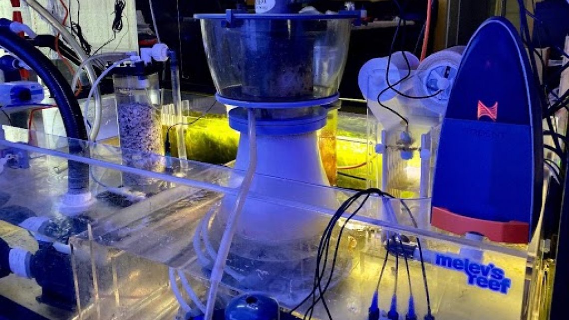 Trident controlled Calcium Reactor | Melev's Reef