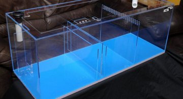 modelF-example_1-iloveimg-resized