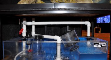 single-drain-plumbing-3-iloveimg-resized