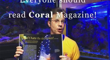 coral-mag-hdr