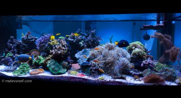 fts-1-19-2018-hdr.jpg