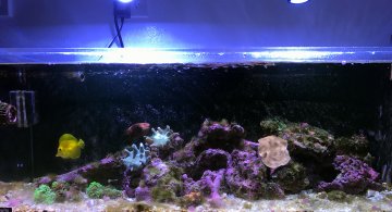 fts-frag-system