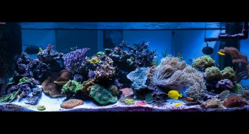 fts_Jan102018-hdr 