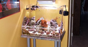 nano_fts_modern