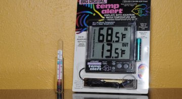 thermometers