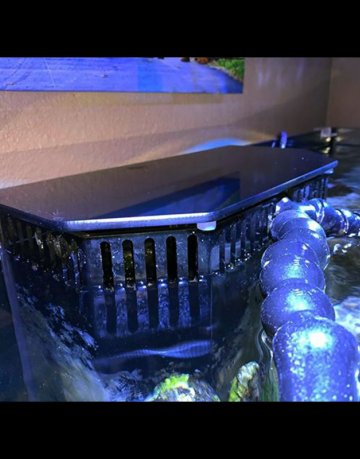aquarium internal overflow box