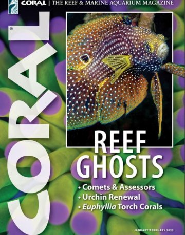 Coral Magazine Jan-Feb 2022