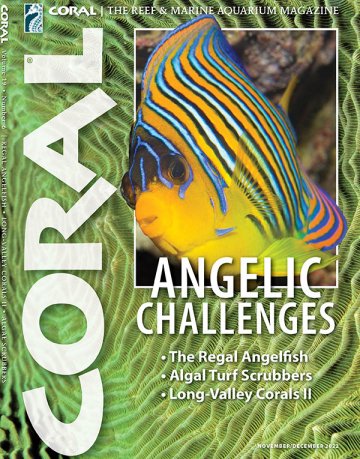 Coral Nov-Dec 2022 issue